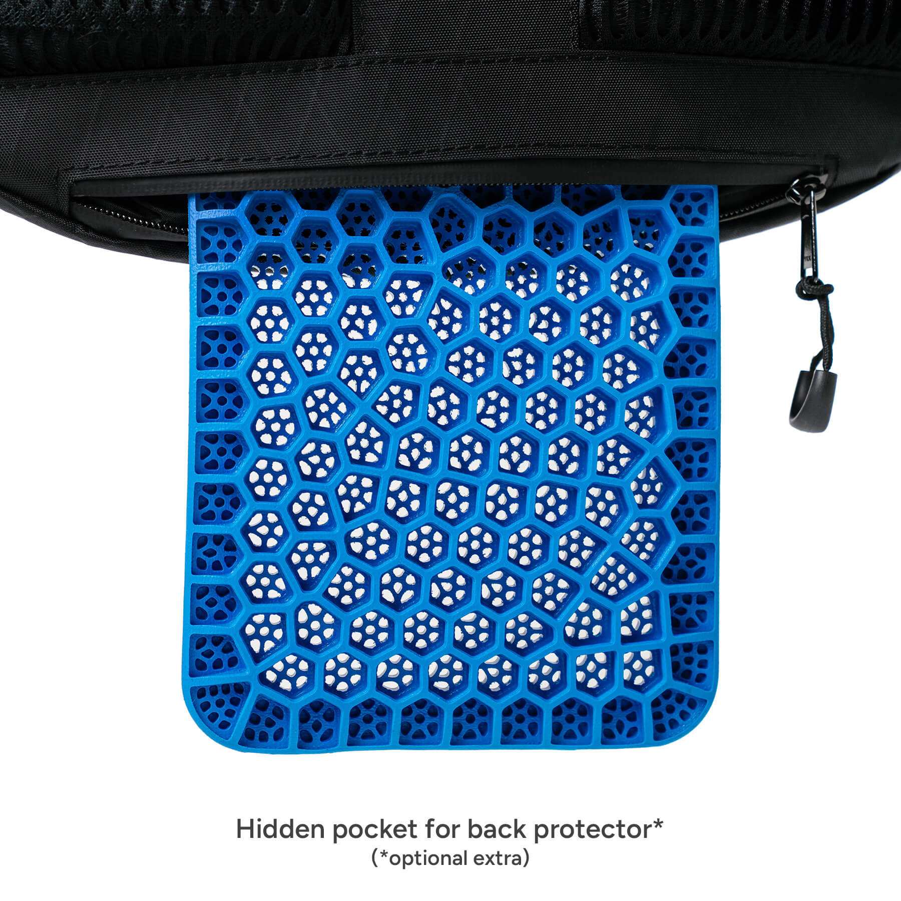 Ashvault G Backpack 22L