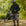 MotoBull | Ryan Cargo Pants - Camo - S / W32 - Men's Pants - Peak Moto