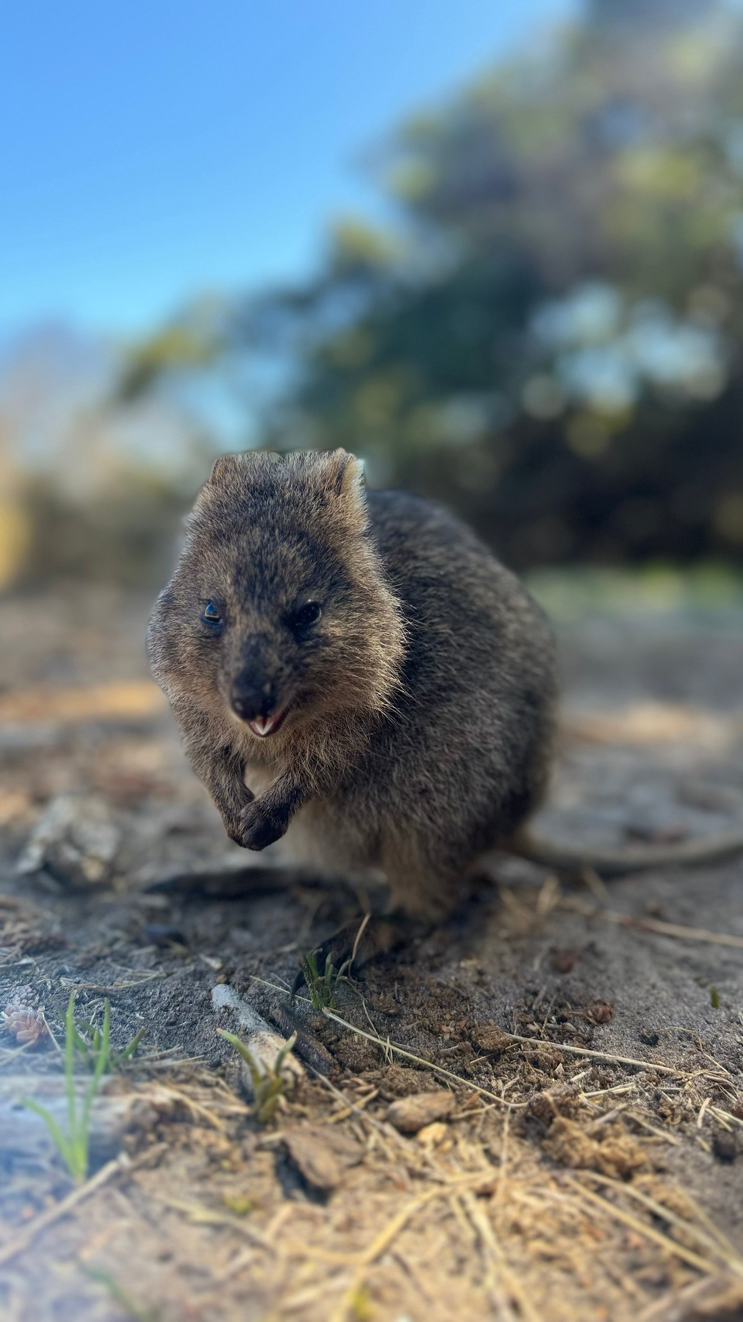 Day 13: Margaret River to Perth - Soul Destroying Storms